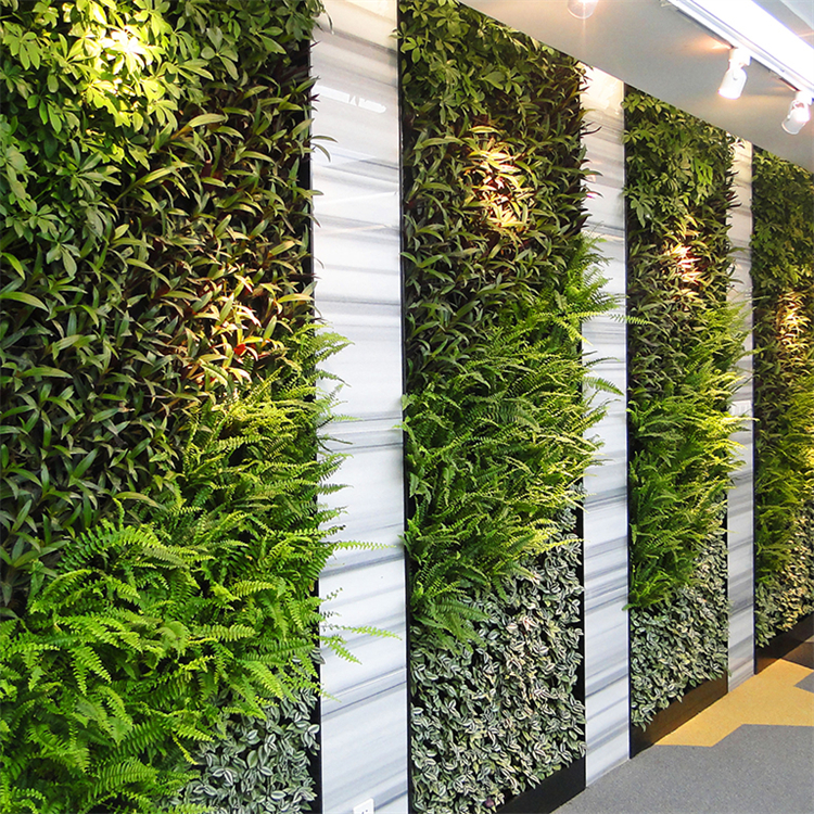 垂直绿化植物墙梅州景观植物墙