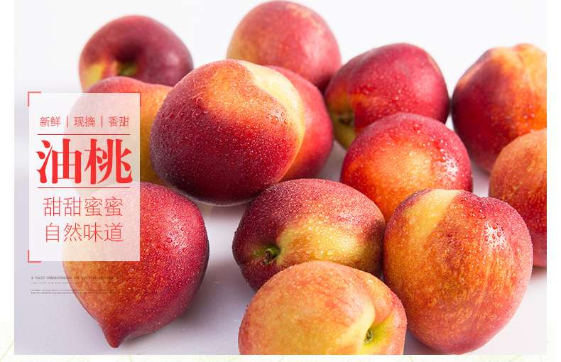安徽中油20号油桃树苗三年苗48油桃树苗新品种