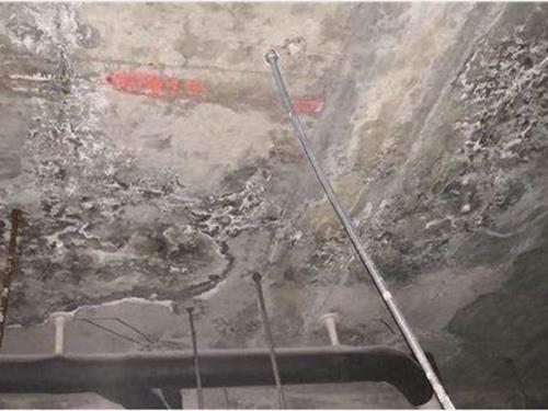吉林白城市隧道堵漏公司施工案例