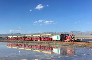 大型景区火车   观光火车   无轨观光火车  电动小火车