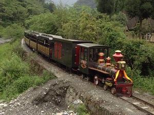 天津市轮式火车观光火车 造价 柴油观光火车价格 