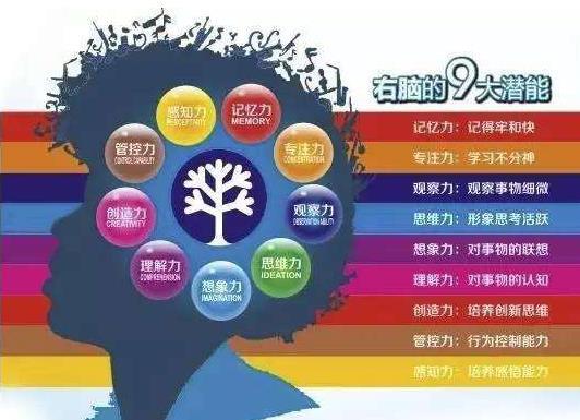 佛山市我想考全脑潜能开发师证在哪里参加培训x