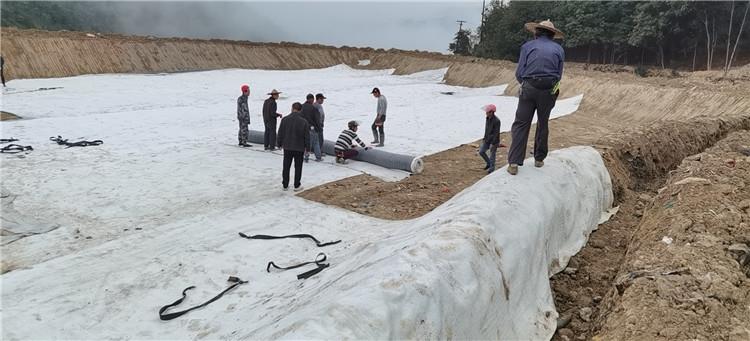 针刺法钠基膨润土防水毯 蓄水电站膨润防水毯