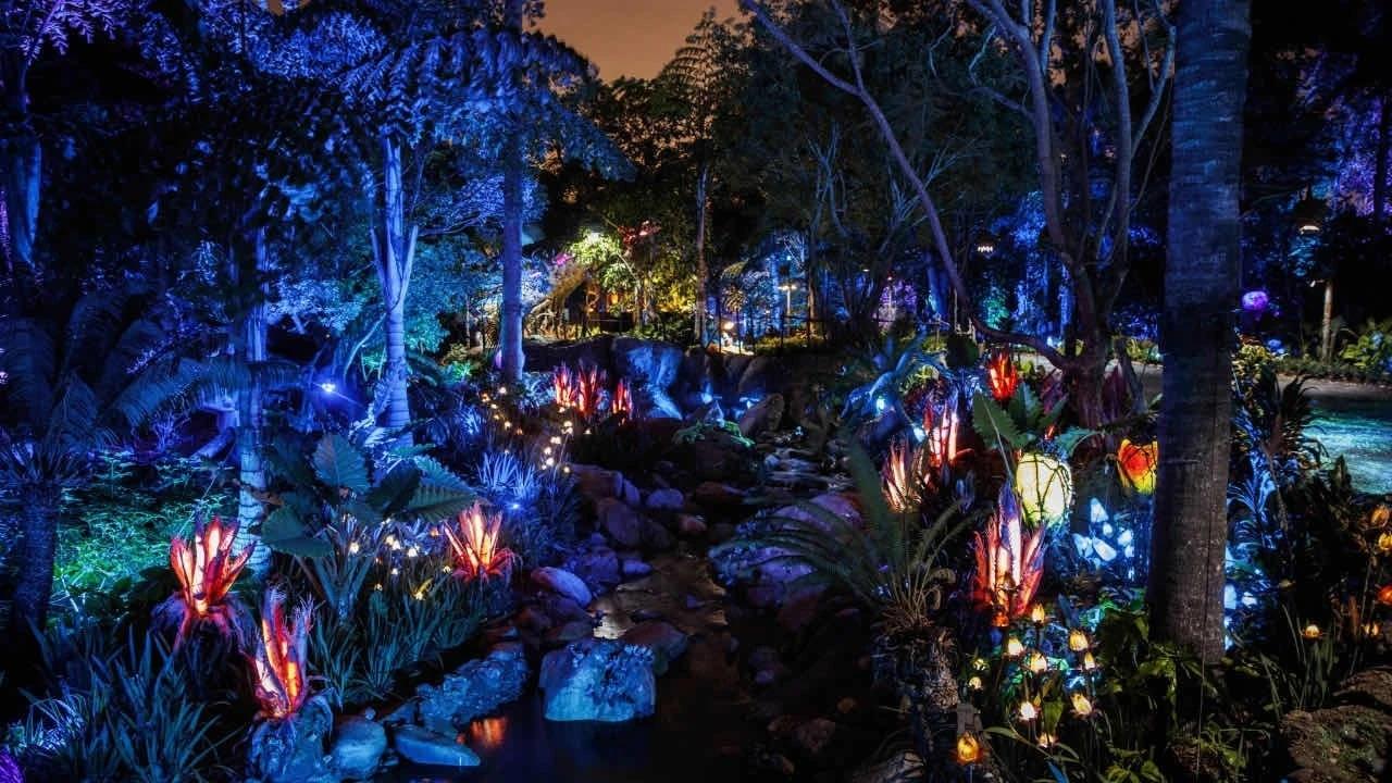 全新投资沉浸式夜游代理