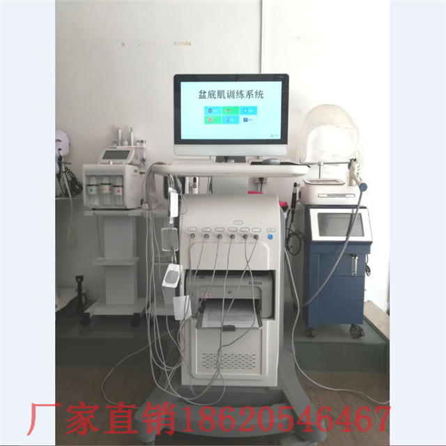 带语音提示的盆底肌修复仪贴牌加工定制