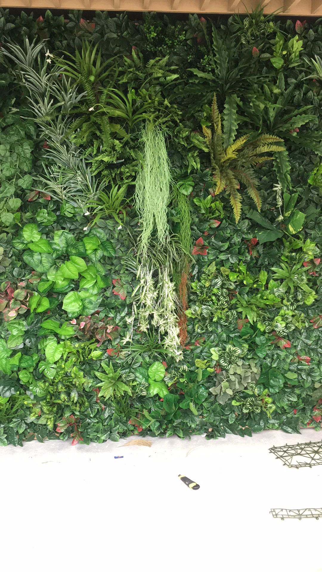 苔藓植物墙养护