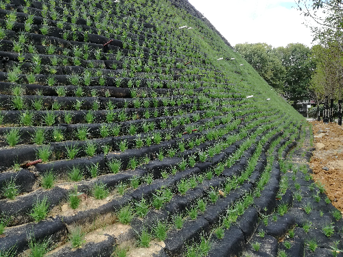 白城护坡生态袋价格多少钱