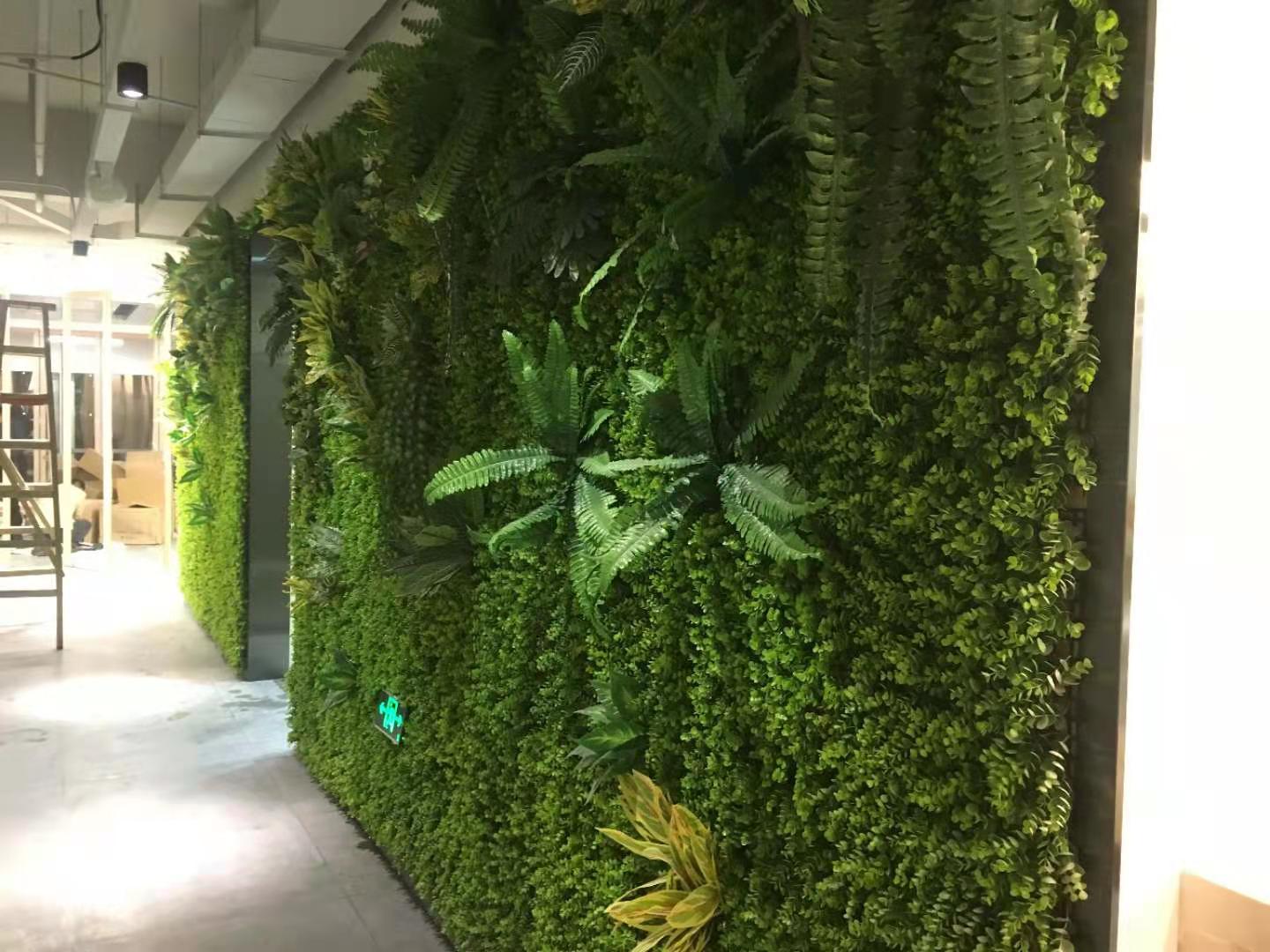 江苏植物墙定制 网红仿真植物墙