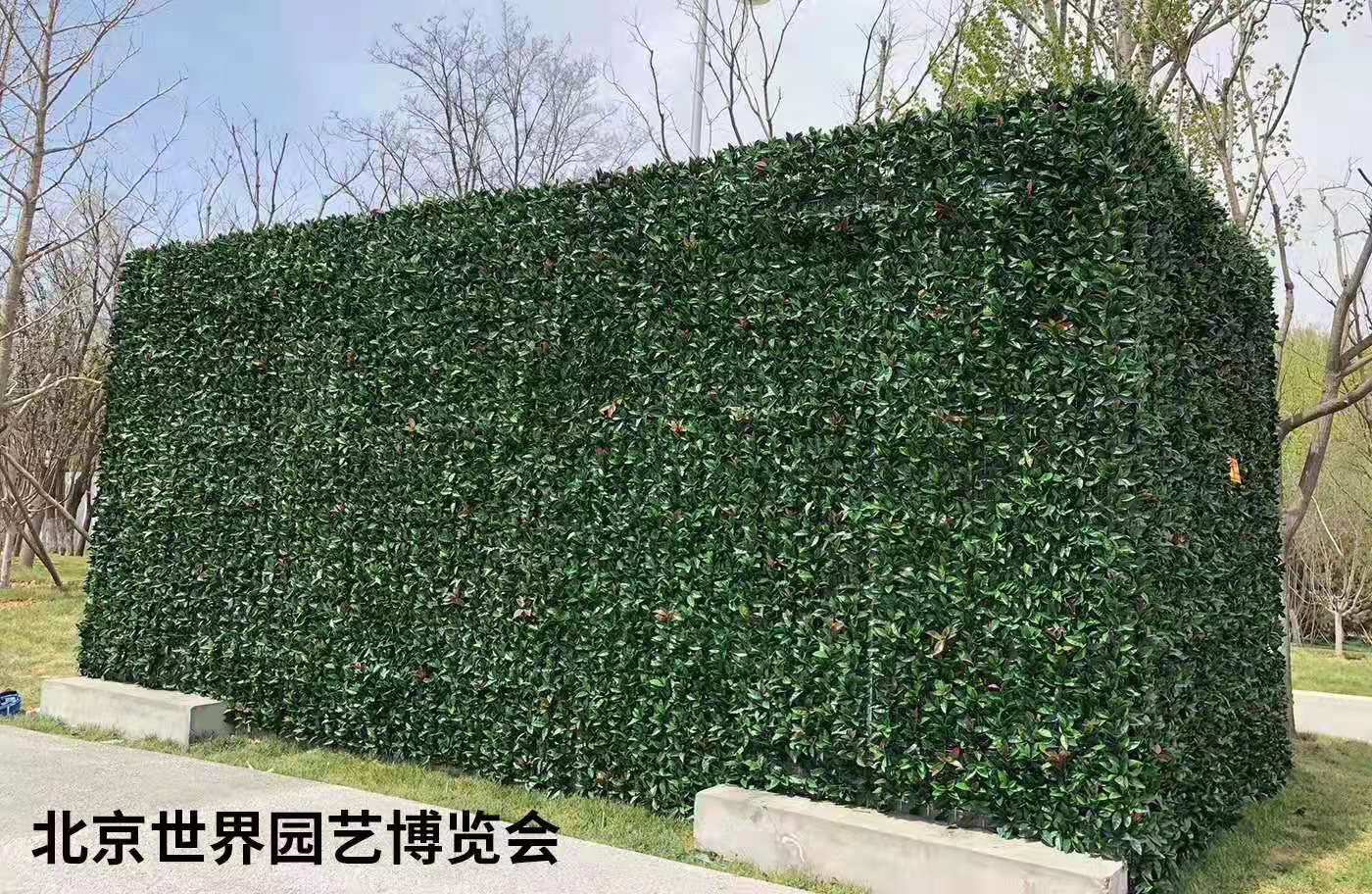 江苏植物墙定制 网红仿真植物墙