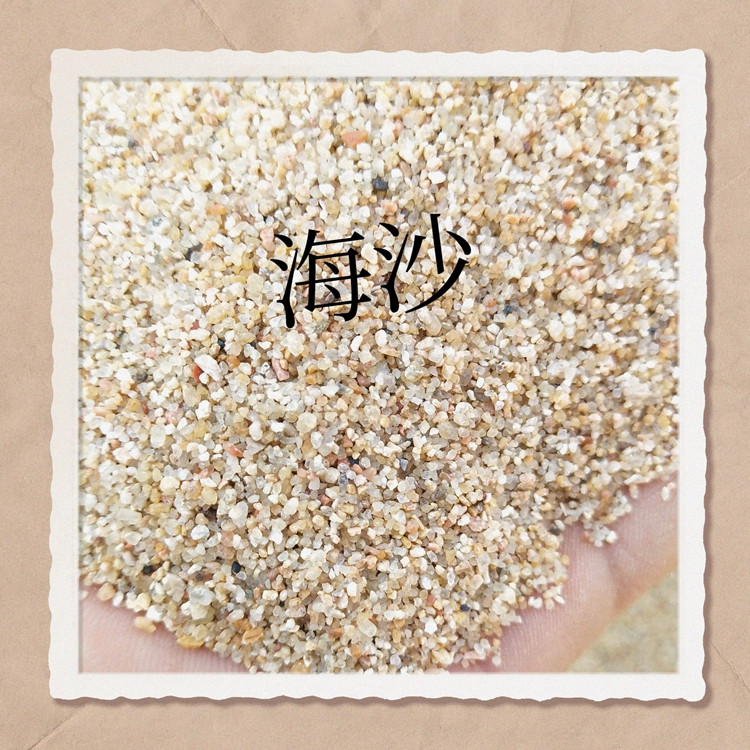 北京幼儿园沙池沙质量天然海沙规格