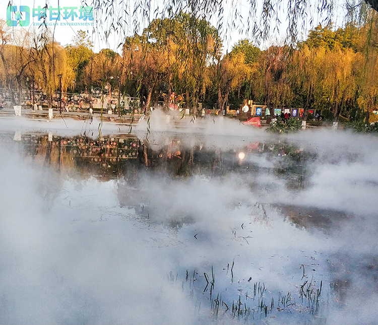 荷花池喷雾造景装置