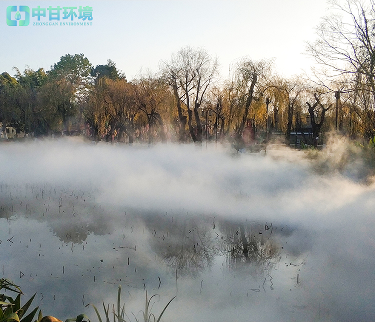 青海假山公园水雾造景厂家
