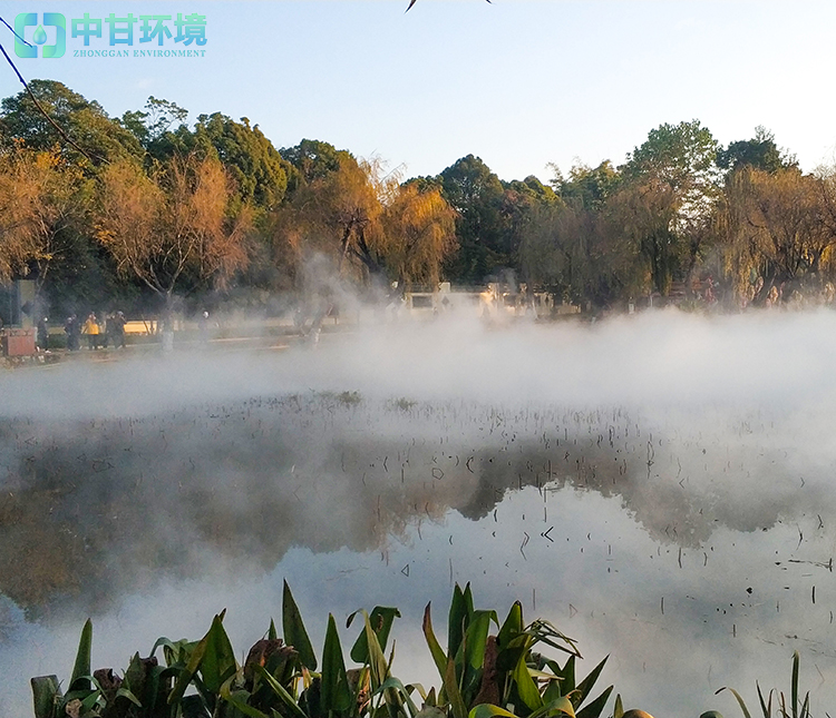 天津温泉水雾造景厂家