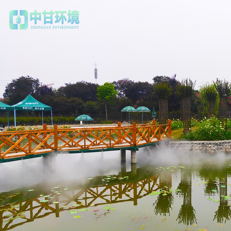 安徽温泉水雾造景系统