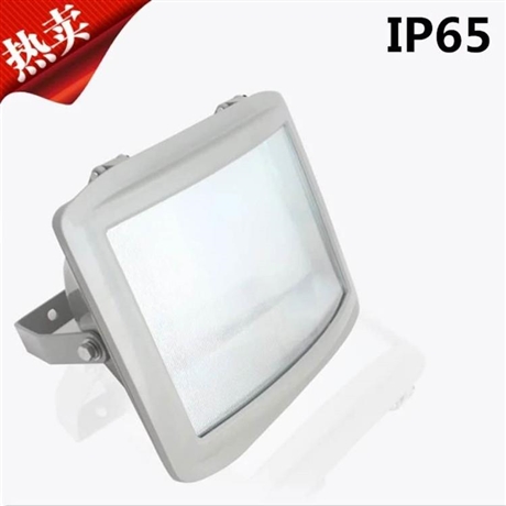 亮聚福NSC9100三防金卤灯三防投光泛光灯可定制灯杆