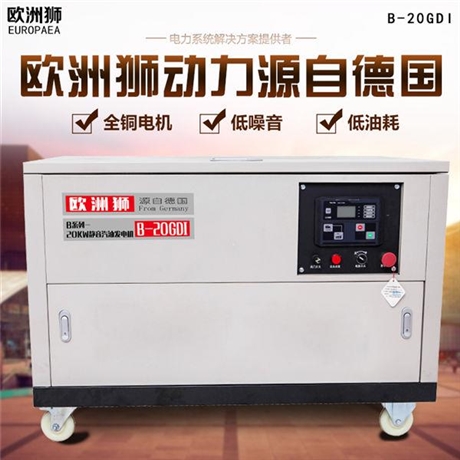 欧洲狮35kw自动发电机样式全