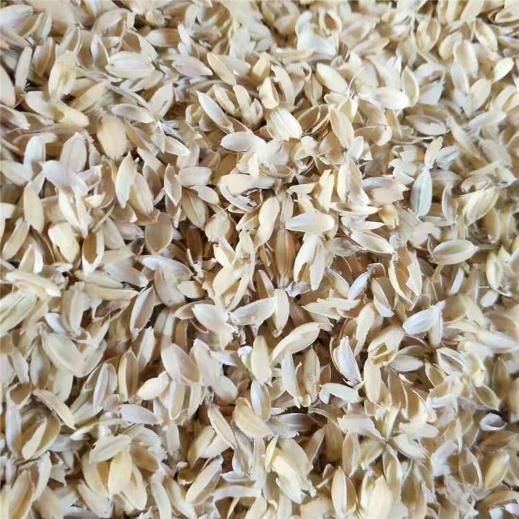 新稻壳散装袋装稻壳供应明亮