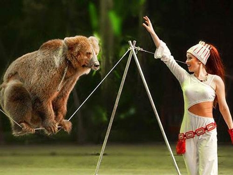 本地动物表演马戏团商演杂技表演展览活动电话