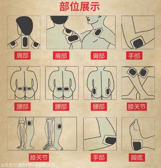 腿关节疼贴膏药位置图图片