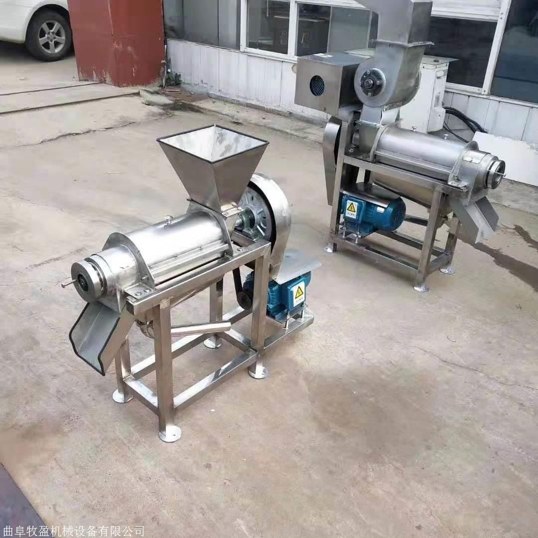 不锈钢打泥机水果蔬菜打浆机大蒜洋葱番茄打泥机视频