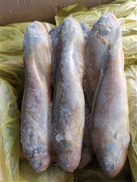 印尼大黄鱼进口报关，青岛港水产品进口报关代理公司