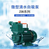 220V/380V农田灌溉浇水泵1ZDB-65T自建房水井抽水自吸泵