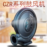 CZR80-550W蜗壳式鼓风机