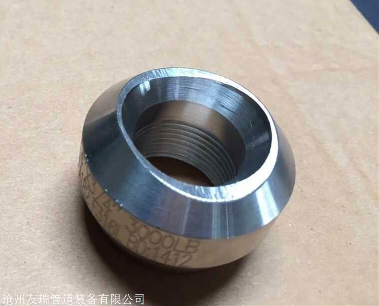 友瑞厂家现货供应承插焊管件高压锻制20碳钢支管台量大优惠