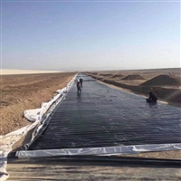 山西hdpe土工膜厂家