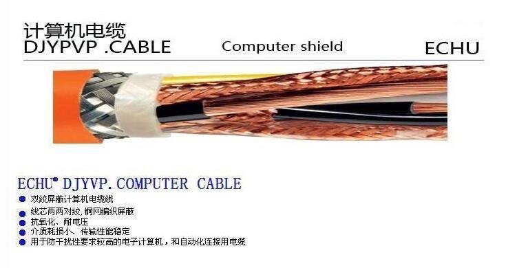 DJYPVR計(jì)算機(jī)電纜DJYPVP對(duì)絞電子計(jì)算機(jī)電纜