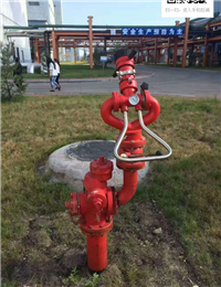 固定消防炮 移动式 自动防爆式消防水炮