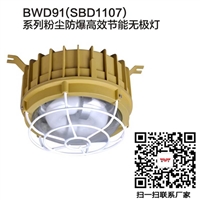 BWD91(SBD1107)粉尘防爆高效节能无极灯