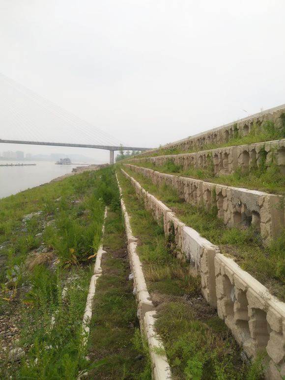 生态河道护坡,混凝土预制块护坡,河岸护坡工程报价