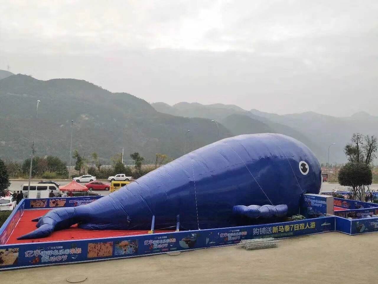 专为您做形象宣传活动鲸鱼岛出租