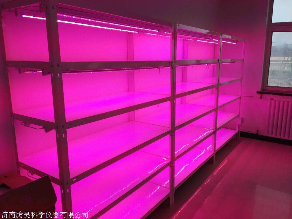 浙江LED组培架，浙江厂家*LED组培架，上海LED培养架