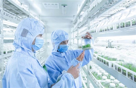 生物组培设备  组培室仪器   组培灌装机  组培框  培养灯