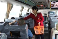 东莞到安岳客车时刻表大巴班次查询