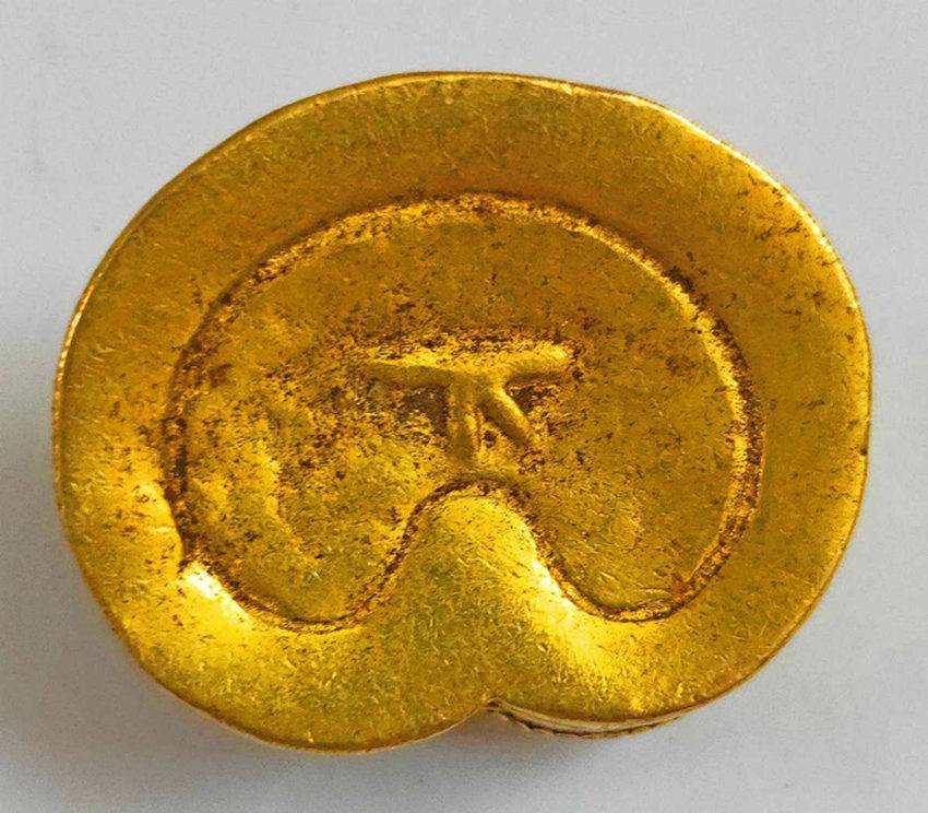 2019年西汉马蹄金去哪好展览展销