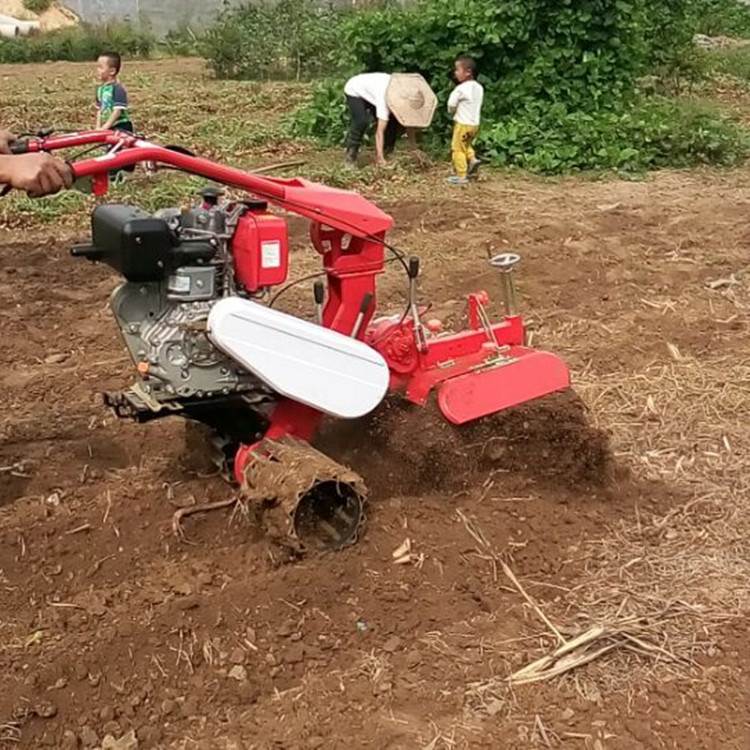 小型田园管理机 大棚田园管理机 质保田园管理机