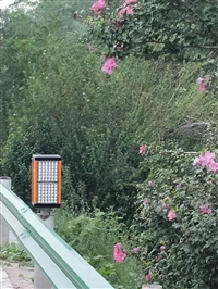 雨雾行车安全警示灯  厂家直销