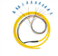 广电级12芯束状尾纤