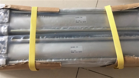 CY1S-Z系列SMC磁偶式无杆气缸cy1s20-500z