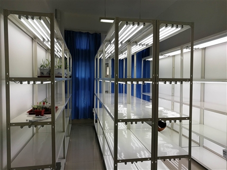甘肃组培仪器  组培室设计  组培架  组培灯