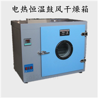 电热恒温鼓风干燥箱 烘箱 汽车灯烤箱 冷胶大灯烤箱 改灯烤箱