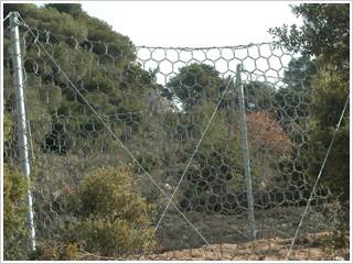 新疆环形被动防护网厂家