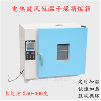 电热鼓风恒温干燥箱烘箱 五谷杂粮烤箱高温老化实验