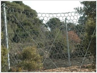 新疆环形被动防护网厂家