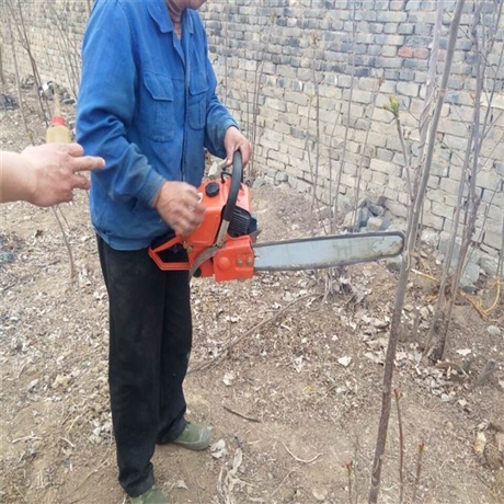 挖树机便携式 省时省力苗圃断根挖树机