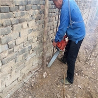 苗木移植挖树机 链条汽油动力挖树机