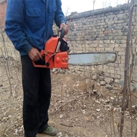 挖树机 振远汽油链条挖树机厂家